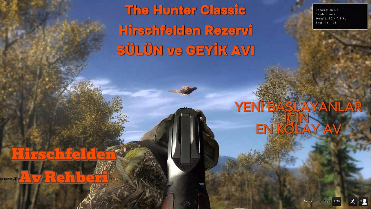 The Hunter Classic SÜLÜN AVI - NE ÇIKARSA AVLADIK VERİMLİ BİR AV Hirschfelden #gameplay #thehunter