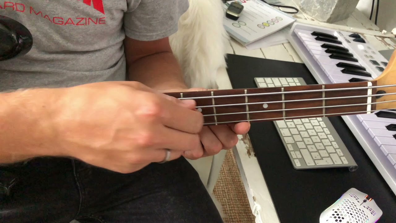 Dum for dig   Bass