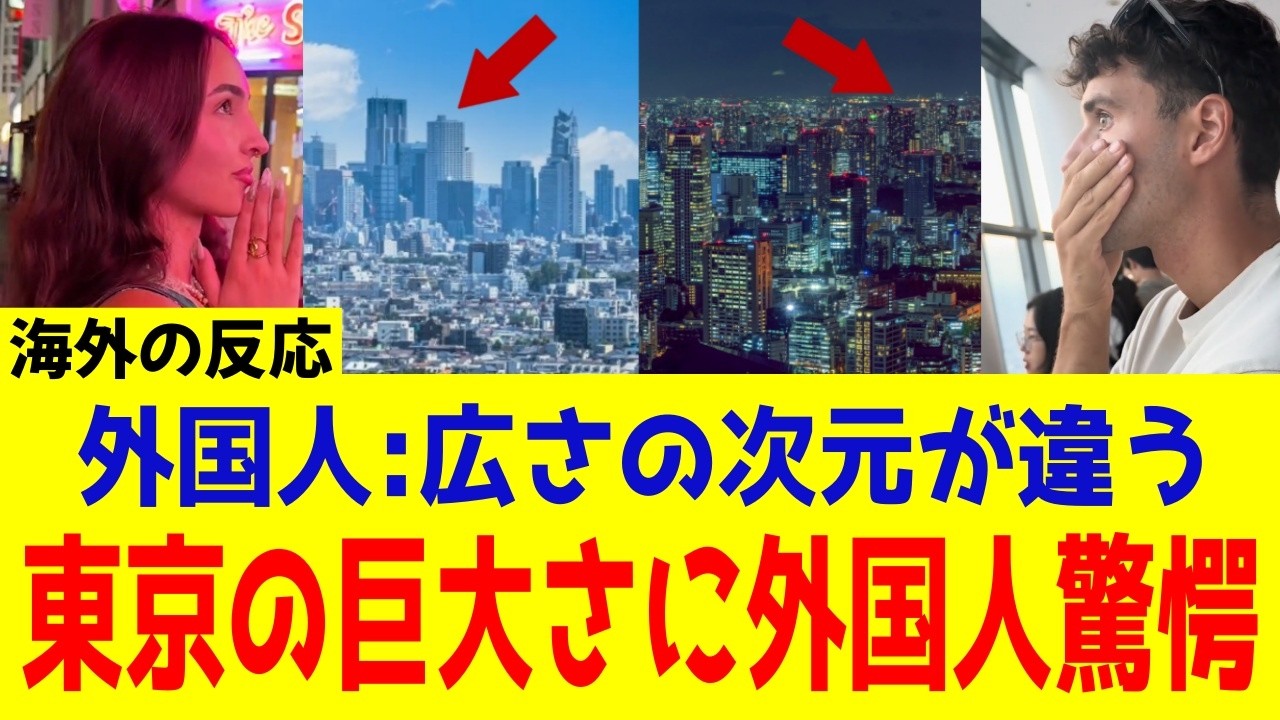 【海外の反応】デカすぎる！東京の街がどこまでも続くことに海外の人達が驚愕！