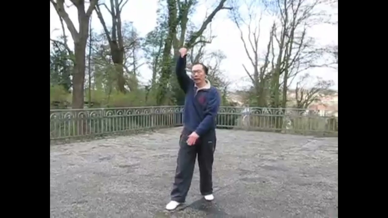 Wuxing Tongbeiquan - Maestro Zhang Xinbin