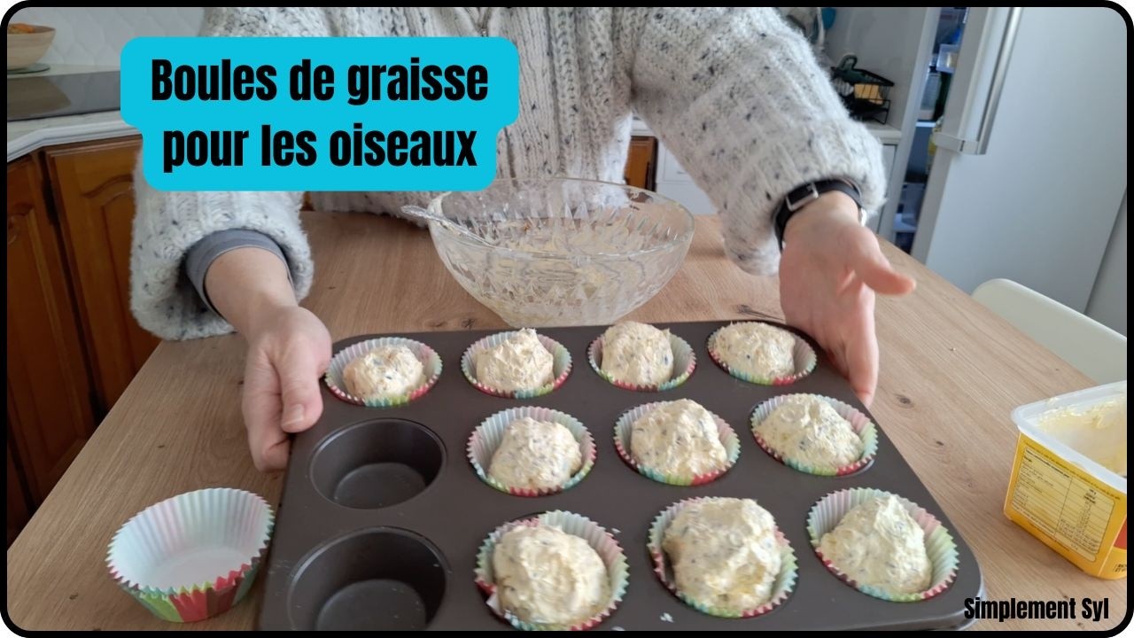 VLOG - je prépare des boules de graisses pour les oiseaux