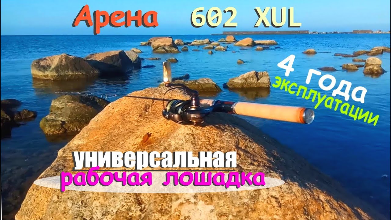 Арена 602XUL - универсальная рабочая лошадка. 4 года эксплуатации