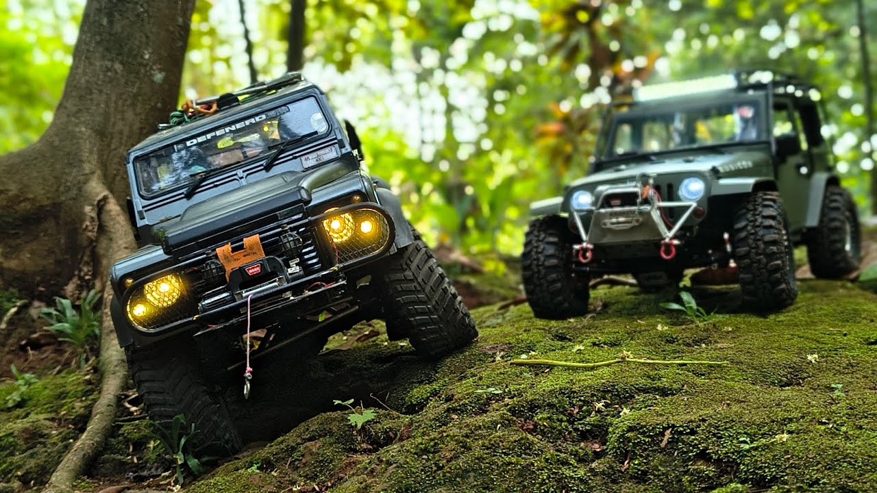 Bulma and friend fun trailling at tropical forest (in RC 1:10)