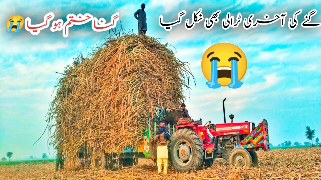 Gane ki akhri trali bhi nkal gyi// gna khtam ho gya hy 