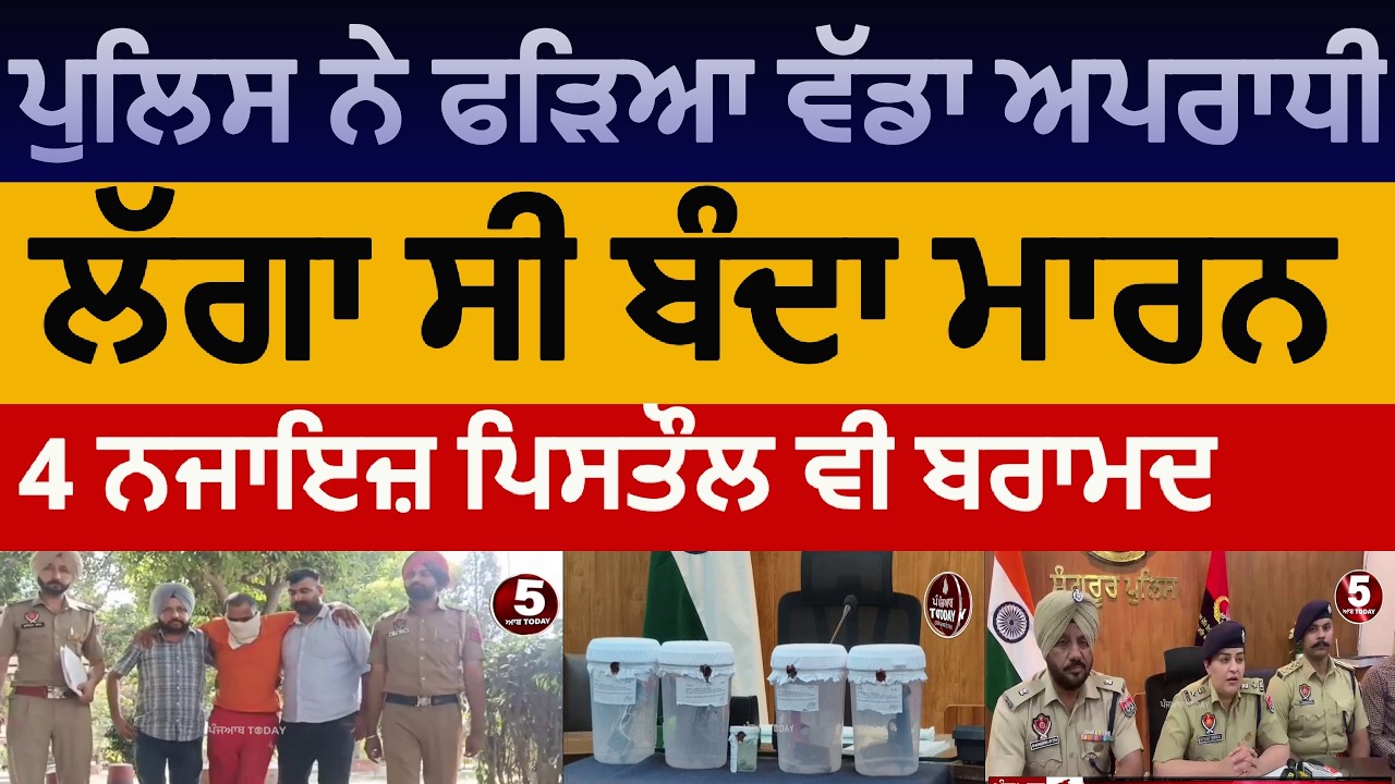 sangrur police one accused arrested with four pistols | sangrur PO arrest with pistols | sangrur ssp