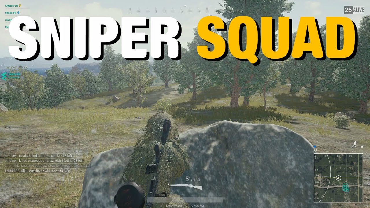 Sniper Squad - PlayerUnknown Battleground