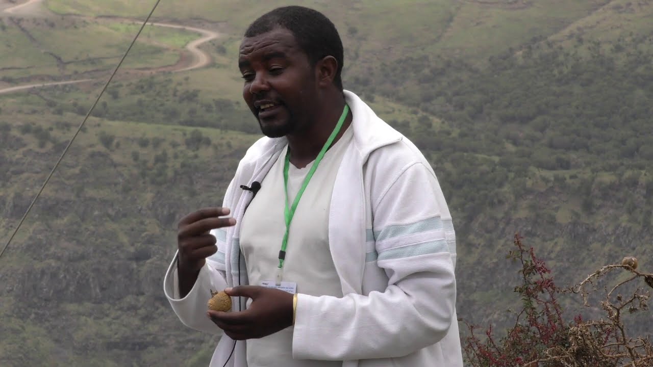 Simien Mountains National Park tourguide