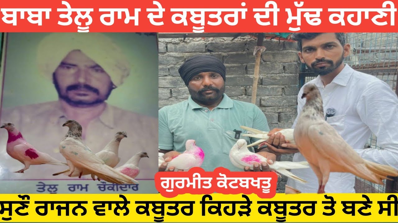 ਬਾਬਾ ਤੇਲੂ ਰਾਮ ਦੇ ਕਬੂਤਰਾਂ ਦੀ ਮੁੱਢ ਤੋ ਕਹਾਣੀ / Baba tallu de kabutar di story/ @WasdaPanjab13 #kabutar