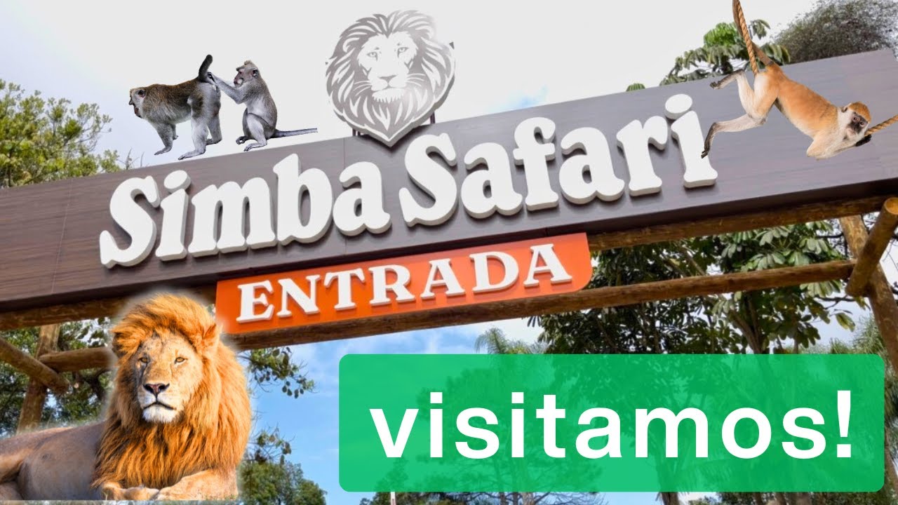 NOVO SIMBA SAFARI 2025 - PASSEIO COMPLETO