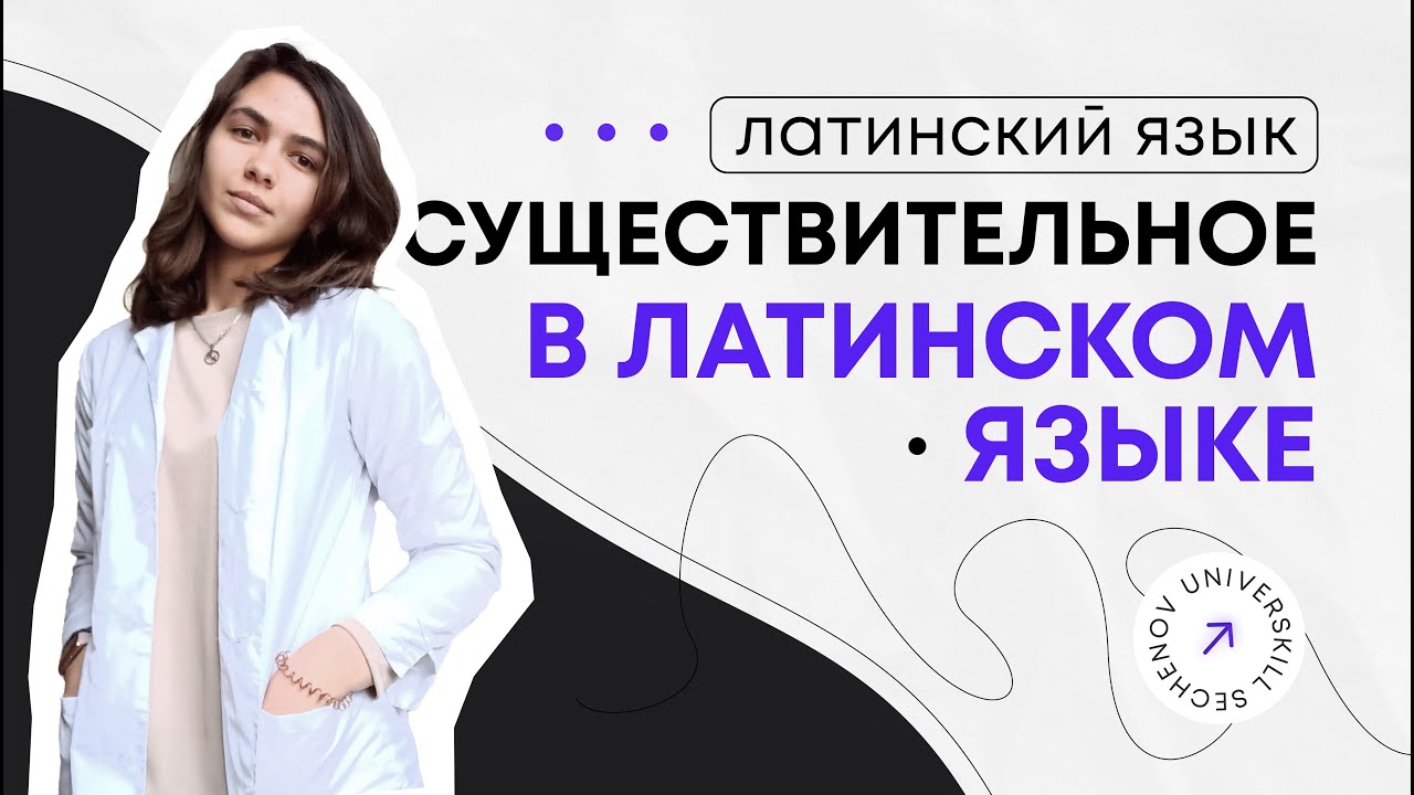 Существительное в латинском языке