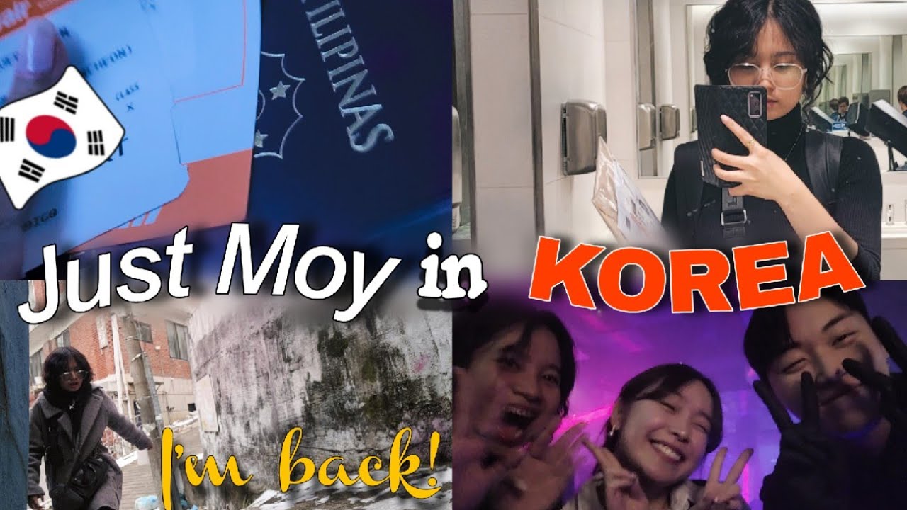 JUST MOY in KOREA