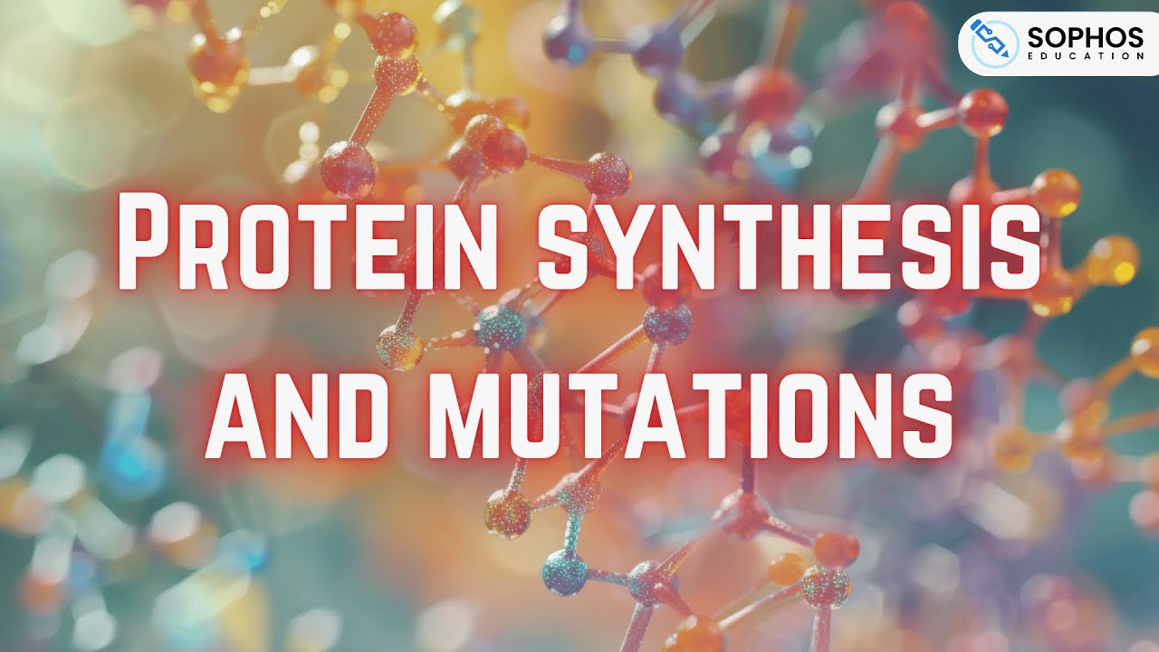 Higher Only: Protein Synthesis and Mutations
