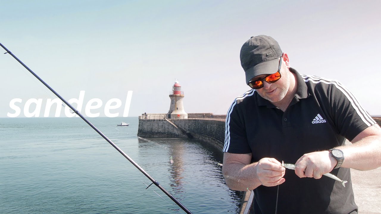 How to Catch Sand eel from the pier for Bait