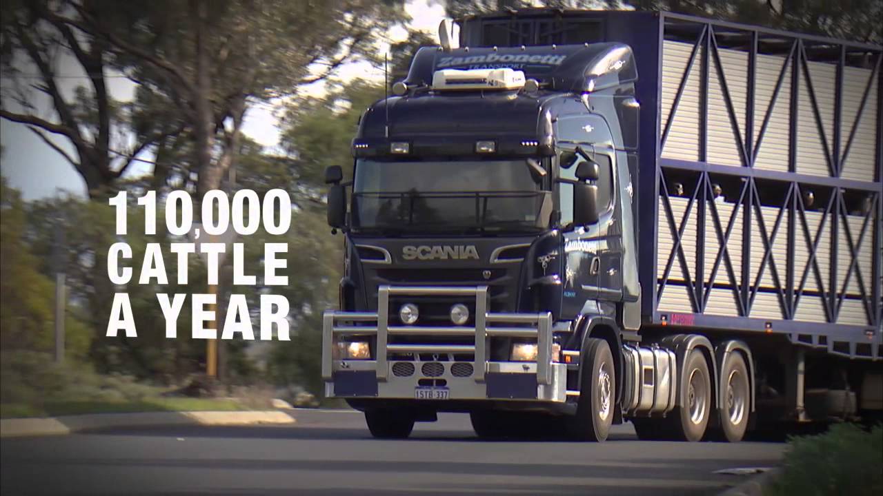 Scania Customer Zambonetti Transport