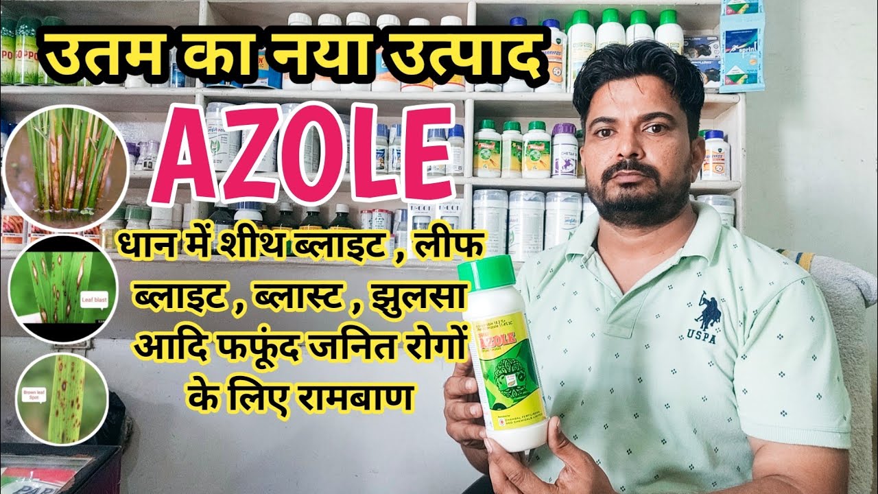 Dhan ke liye Best Fungicide / Paddy Crop Fungicide / Sheet Blight , Leaf Blight , Blast, Uttam Azole