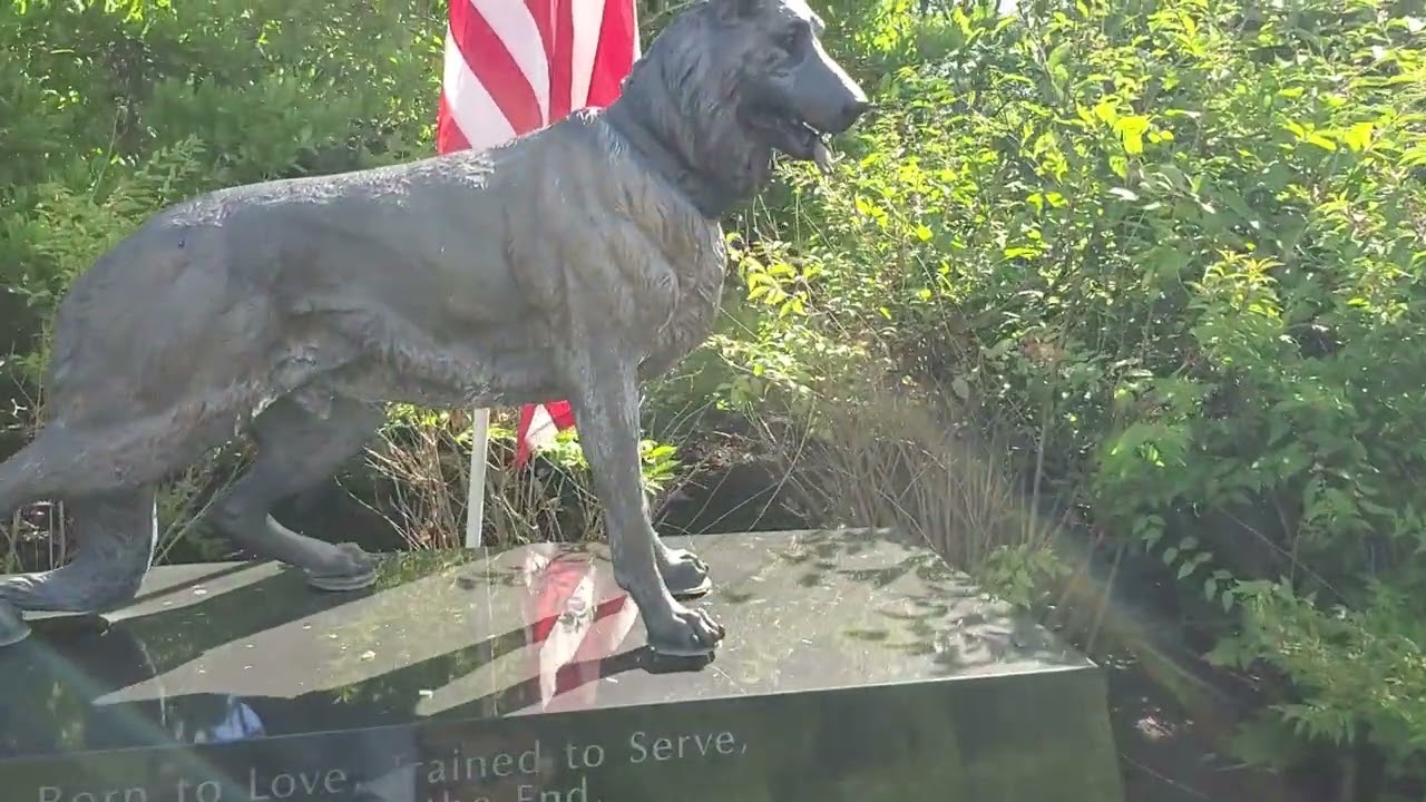 Loyal and True Pet Cemetery in Anderson, Indiana (full video)