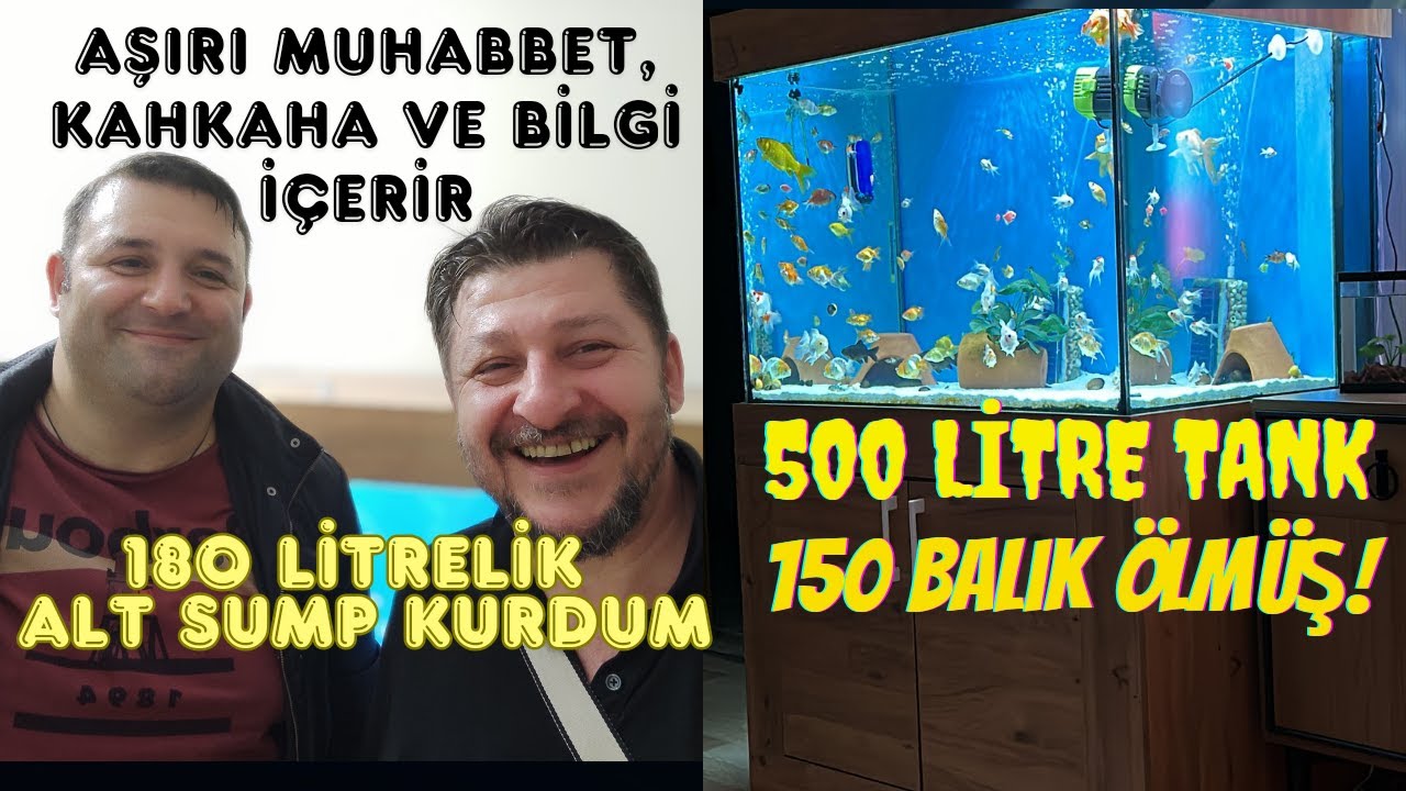 500 LT Akvaryum için 180 LT Alt Sump Kurdum 150 Balık Ölmüş
