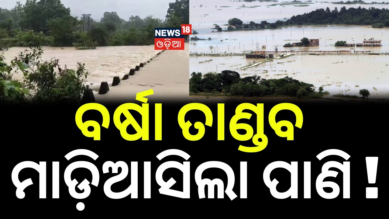 ମାଡ଼ିଆସିଲା ପାଣି...Keonjhar Flood News | Baitarani River Overflows | Hatadihi Flood | Odia News