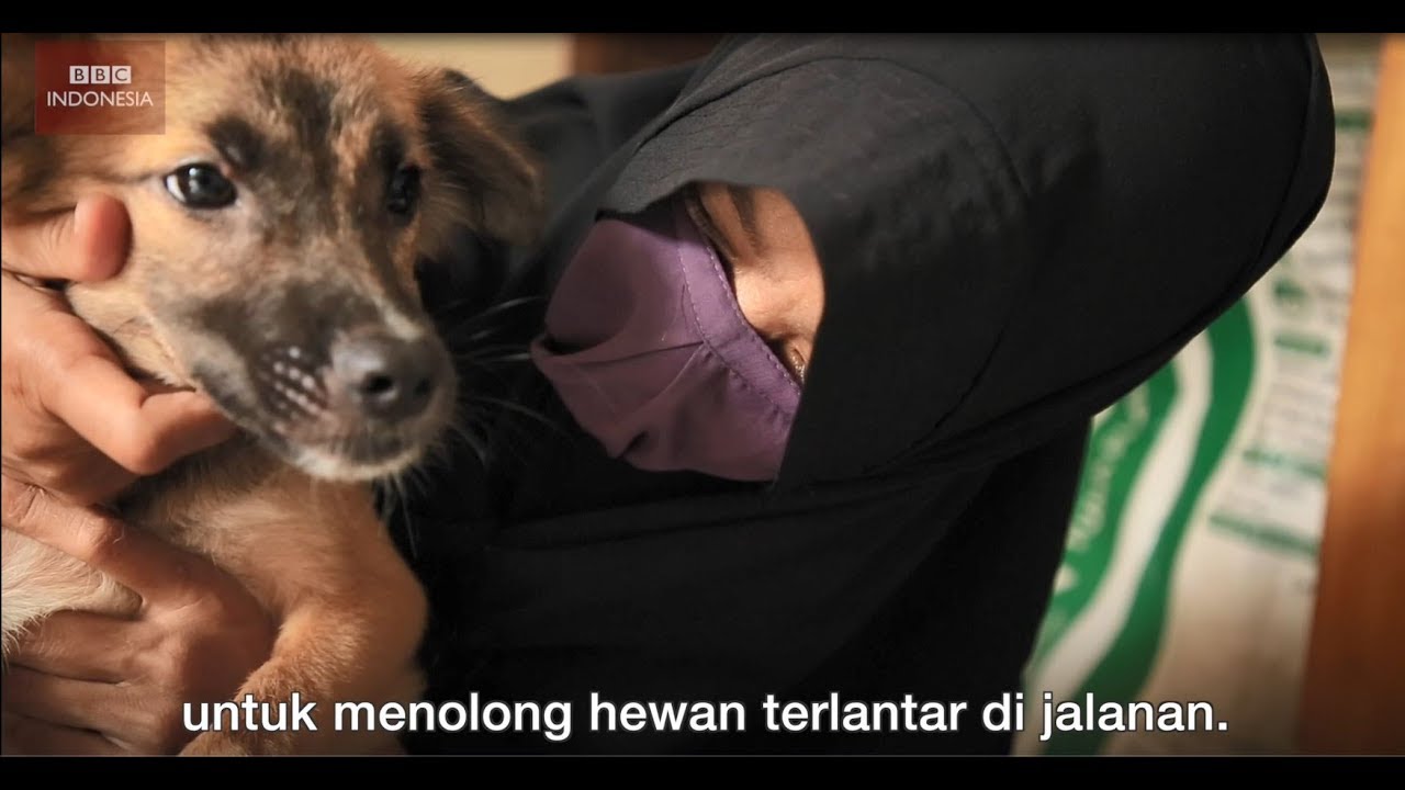 Perempuan bercadar penyelamat anjing terlantar