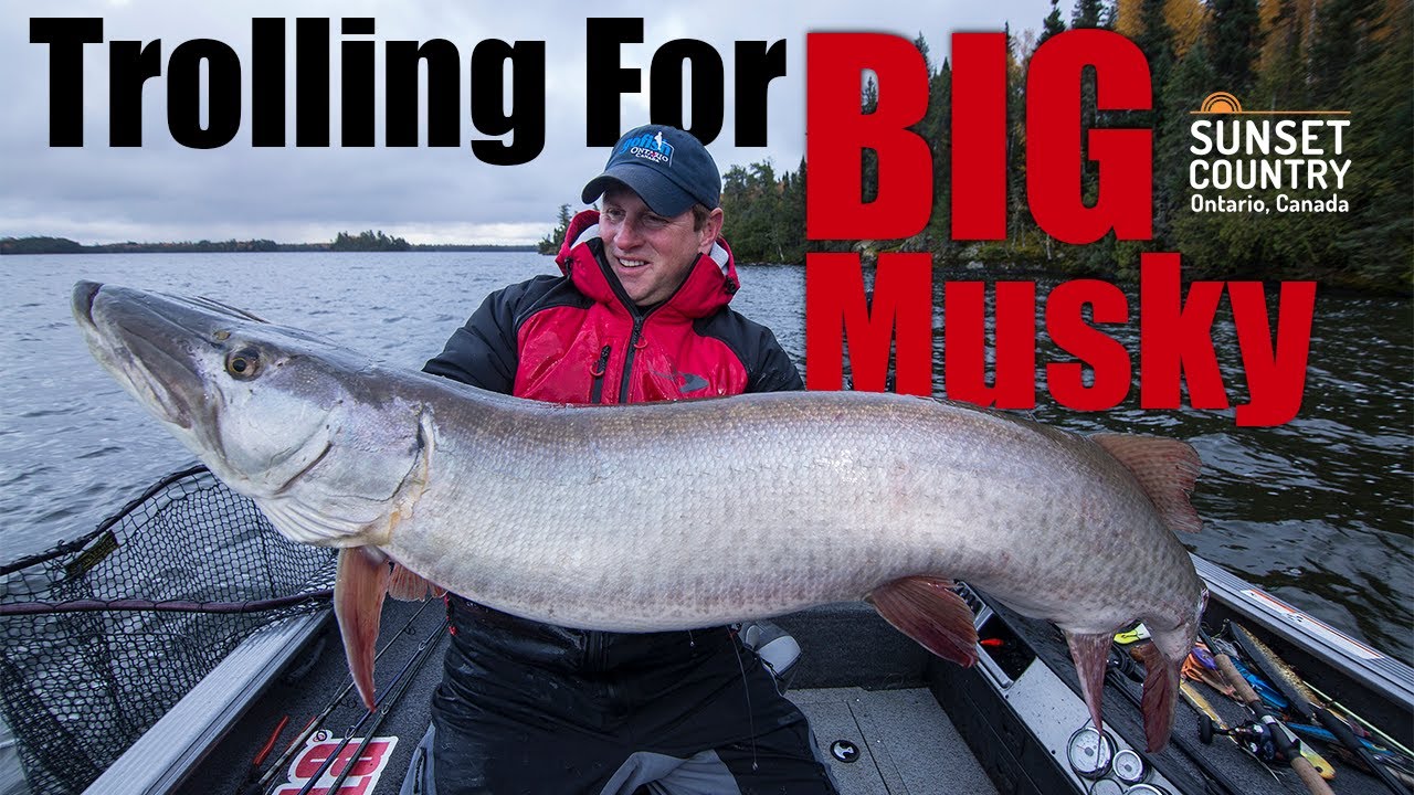 Trolling for Big Musky in Sunset Country