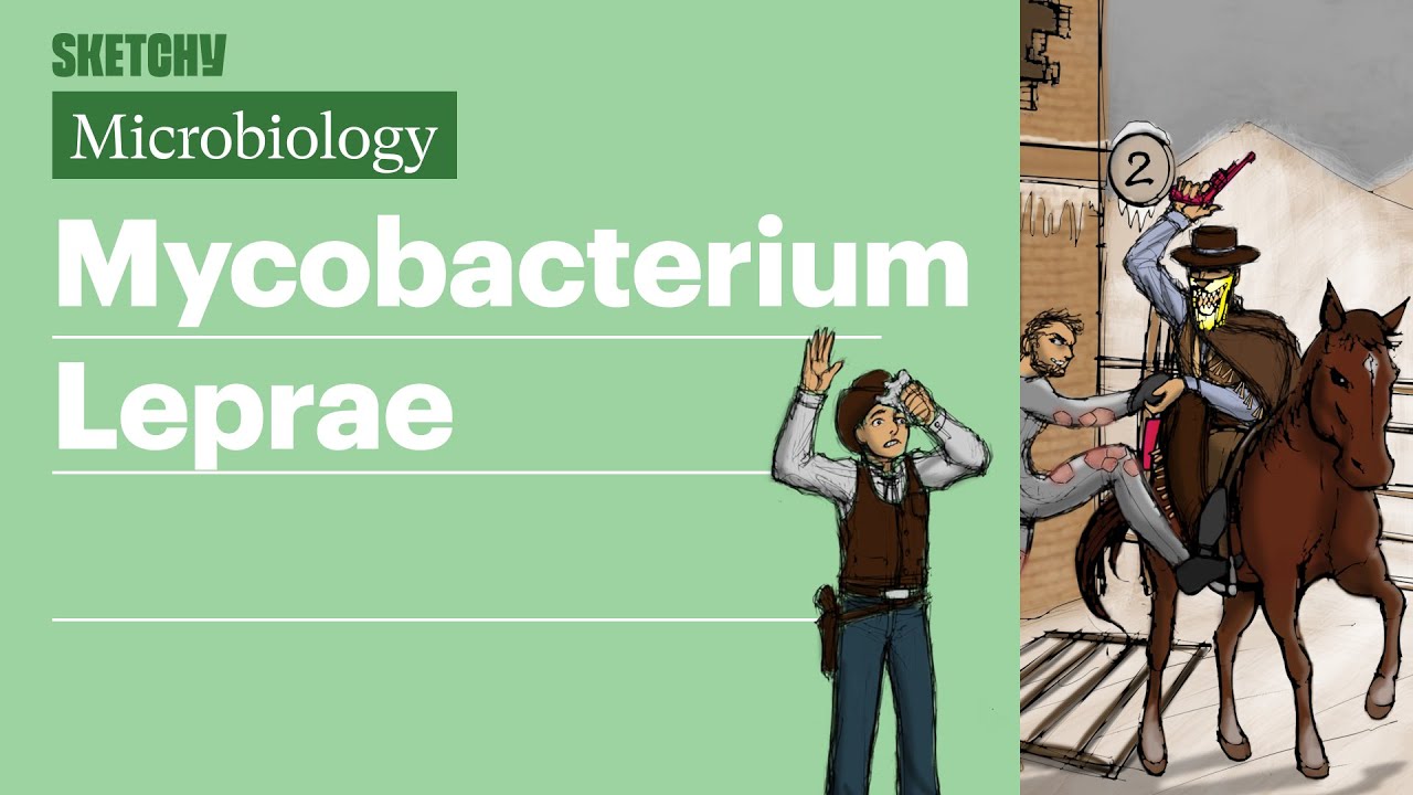 Mycobacterium Leprae (Microbiology) | USMLE Step 1 | Sketchy Medical