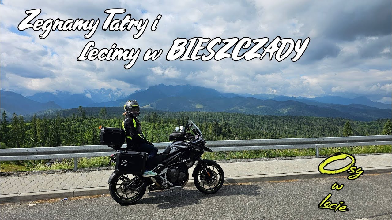 Rzucamy wszystko i lecimy w Bieszczady - Osy w locie