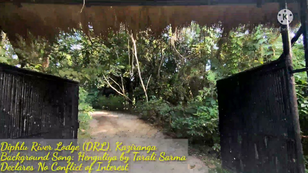 Visit to Diphlu River Lodge (DRL), Kaziranga