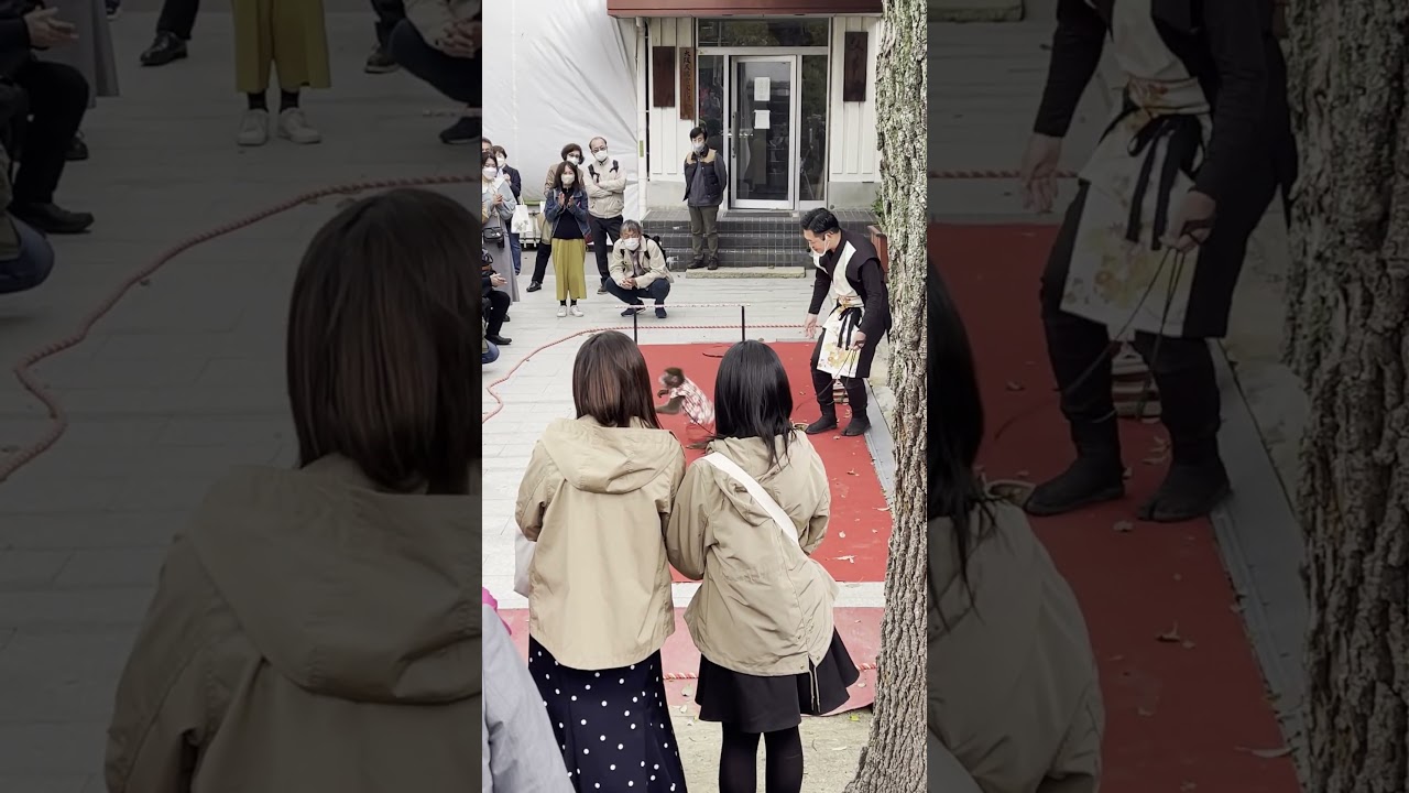 Small Performing Monkey in Japan does a HIGH JUMP and BACK FLIP