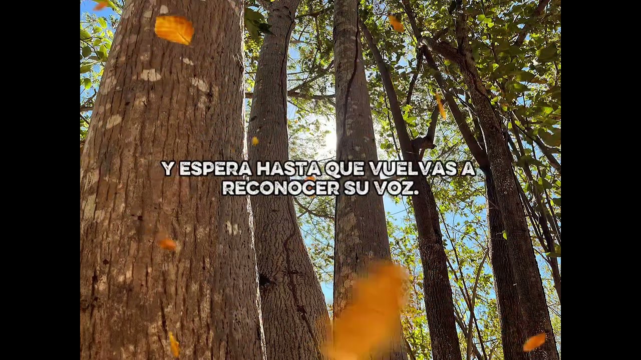 EL AMOR DE DIOS ES PERFECTO 💗