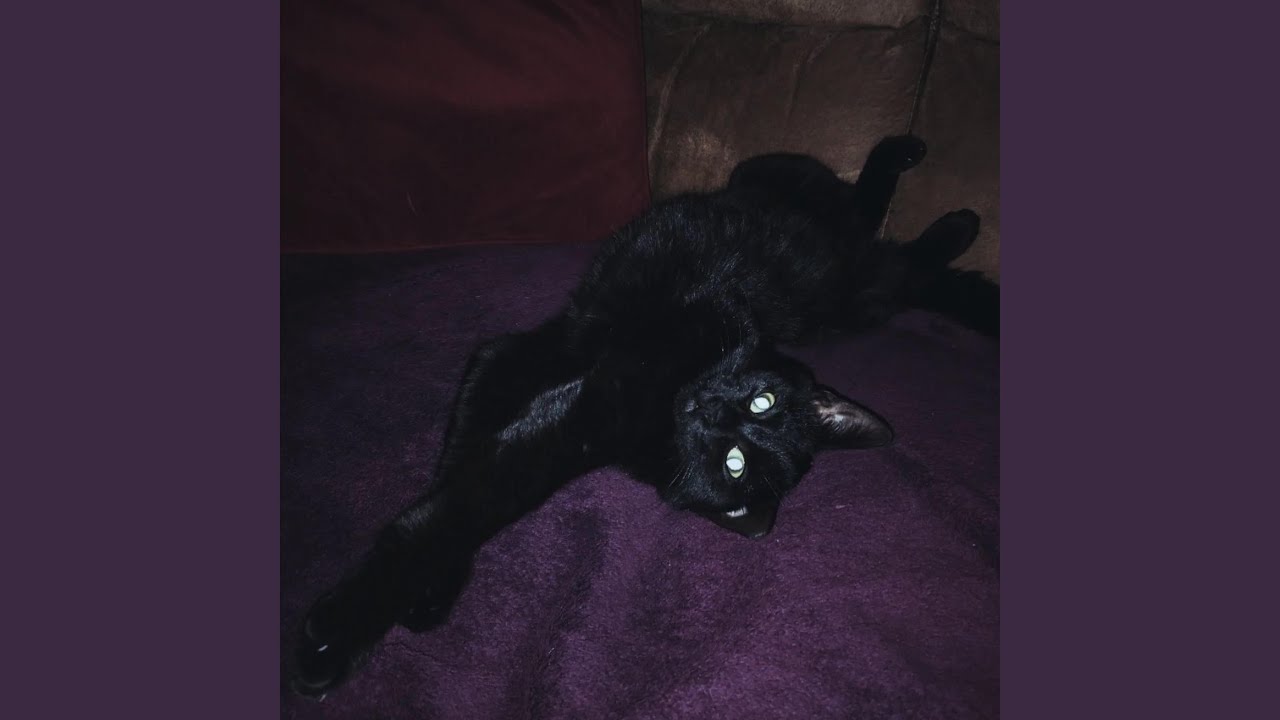 Katbxsed