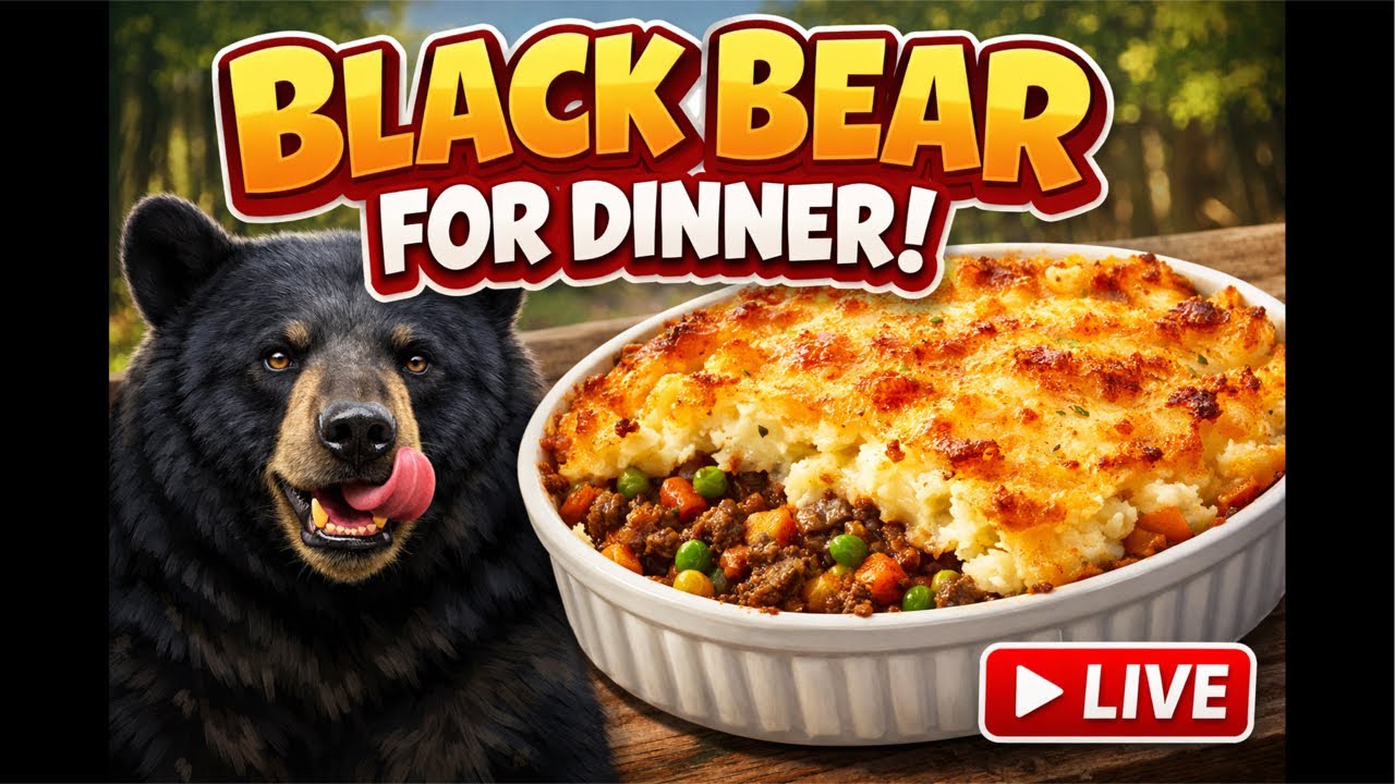 Black bear cottage pie?! = hunters pie! - off grid LIVE