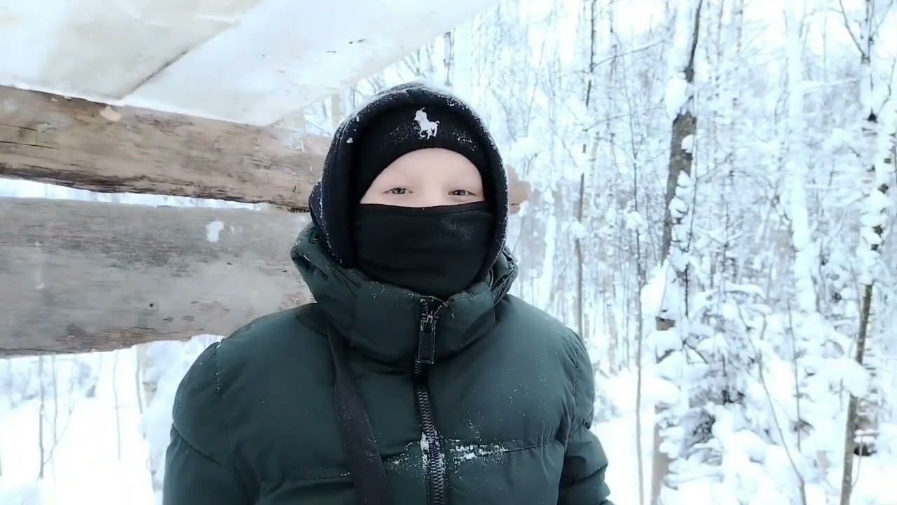 Строим наш дом на дереве