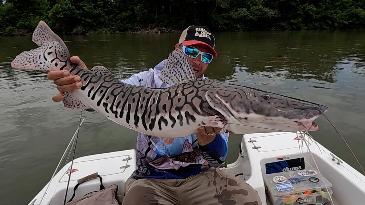 Surubi atigrado - un sue&ntilde;o de pescador. Pesca en Ita ibate.
