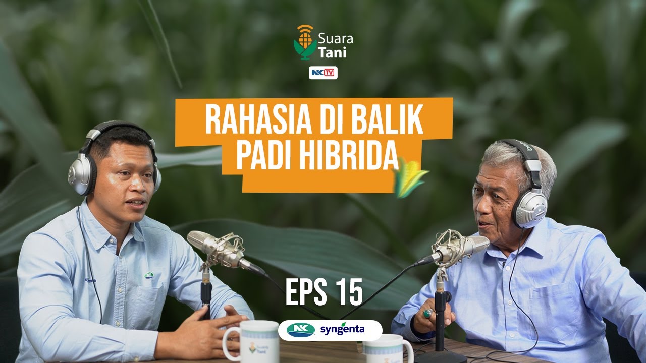 SUARA TANI | RAHASIA DIBALIK PADI HIBRIDA - EPISODE 15