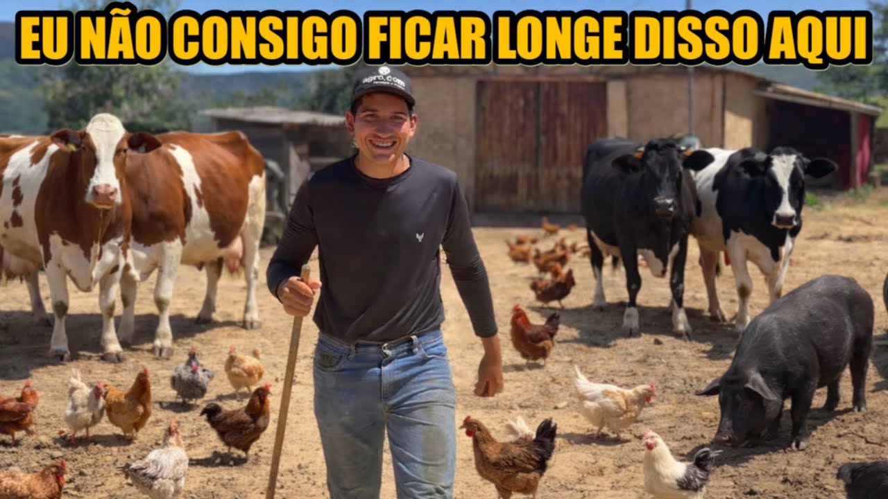 COMO ANDA O SÍTIO DO PEDRO VAQUEIRO?