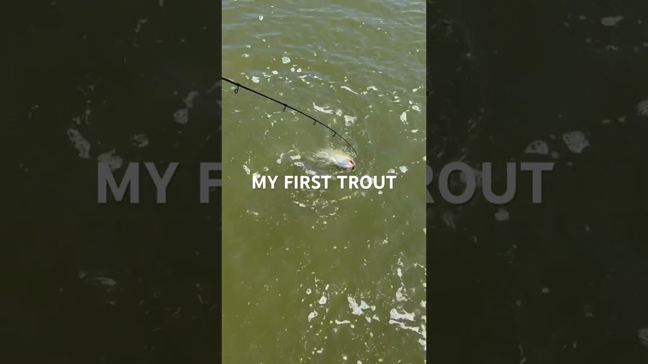 speckled trout caught on a curly tail grub#fishing#fishingtrip#steakwad