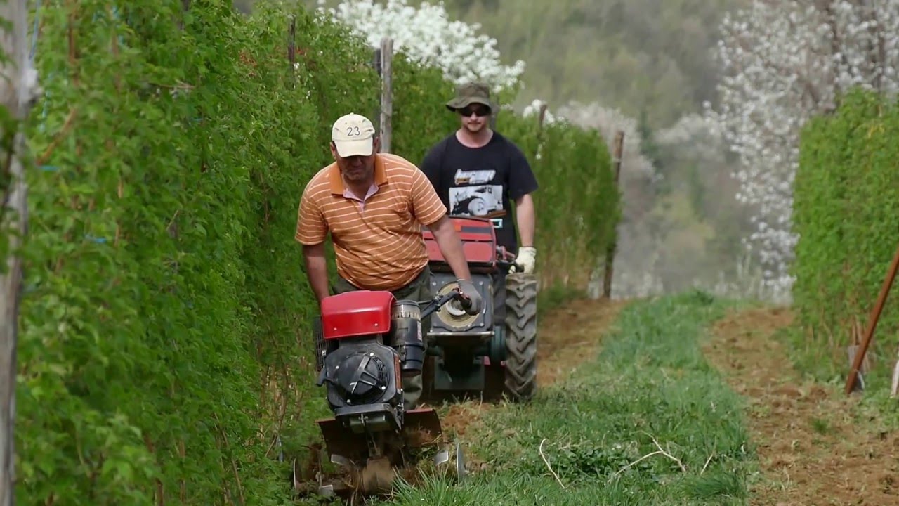 Maline najbrže vraćaju uloženi novac