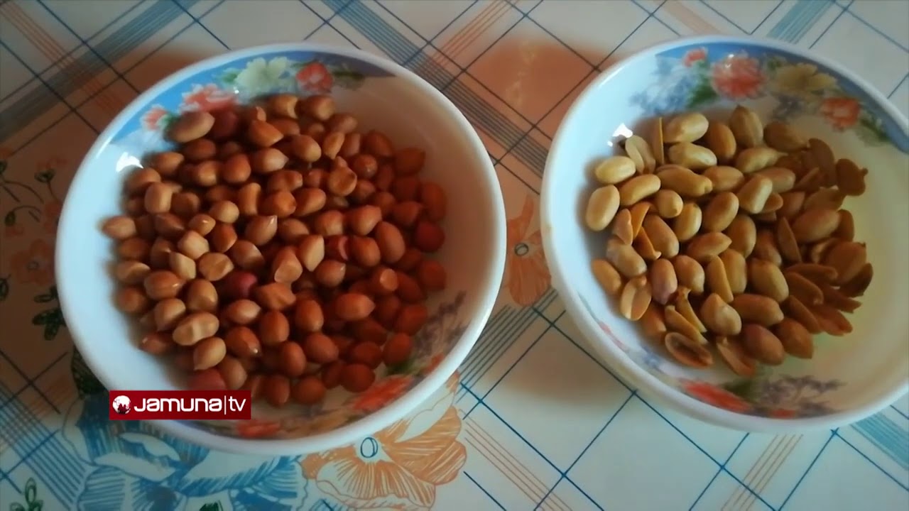 বেশি করে চীনাবাদাম খান; অনেক উপকার পাবেন | Peanut