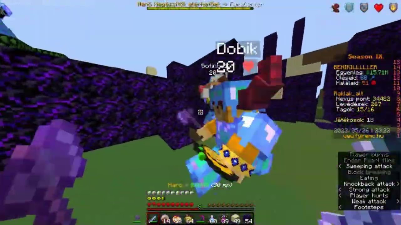 FyreMC Montage #10