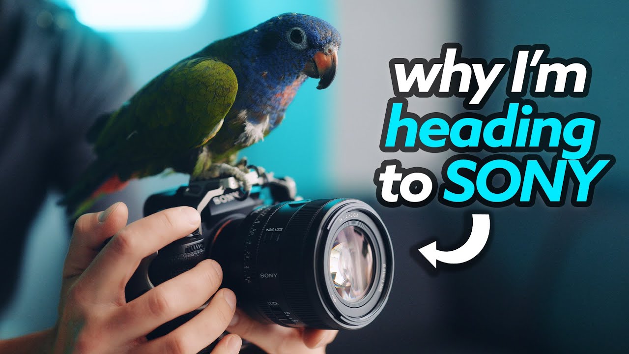 Sony A9 iii: НАМНОГО лучше, чем мы думали!