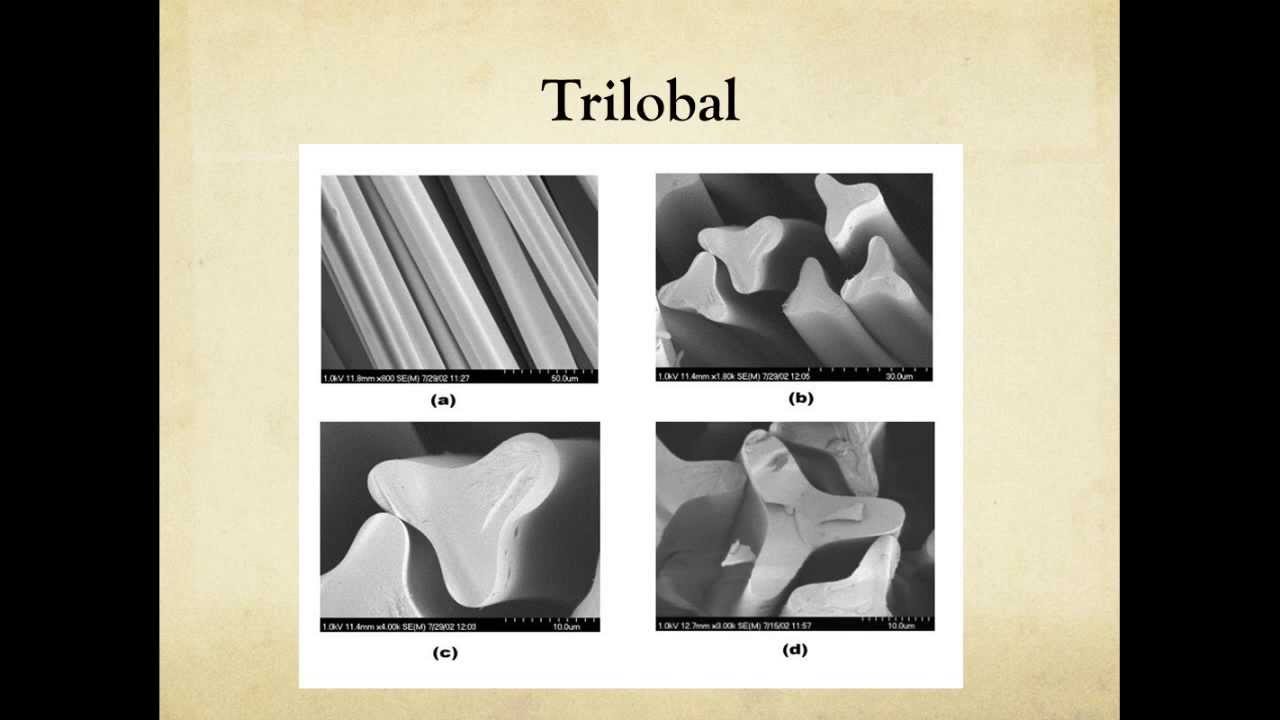 Microscopic Comparison of Hair and Fiber Evidence