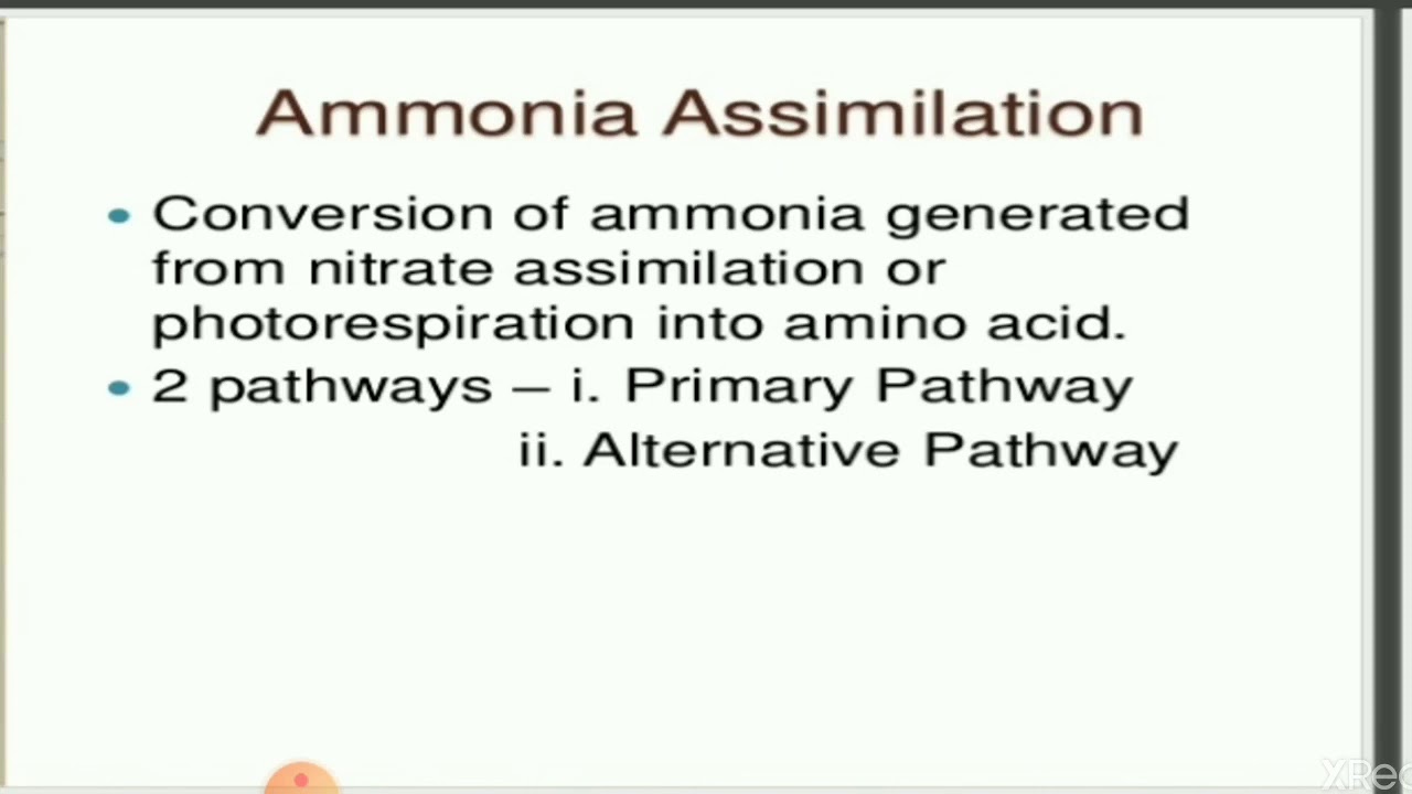Ammonia assimilation, Sem VI