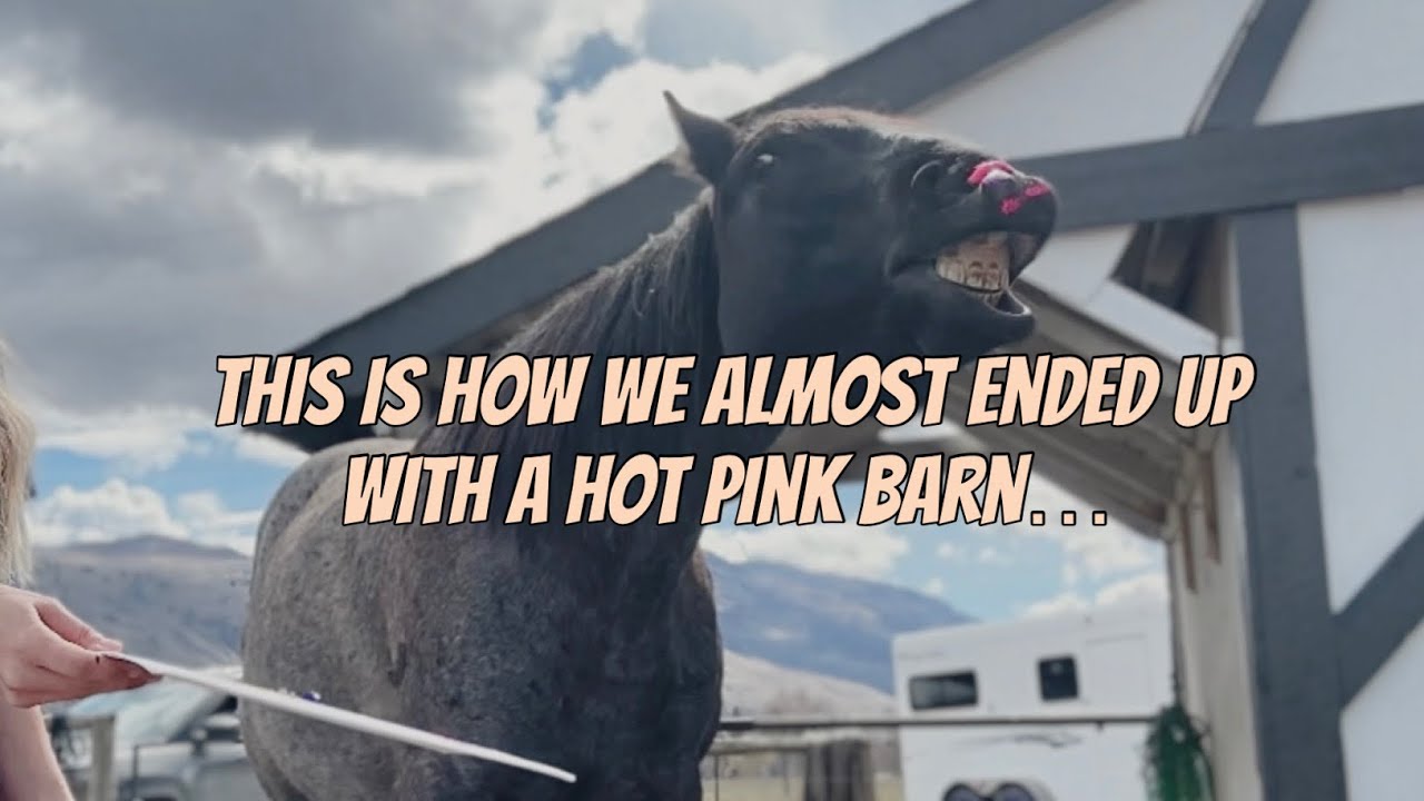 I tried to teach my horse how to paint but it didn&rsquo;t quite go as well as I was hoping it would&hellip;.