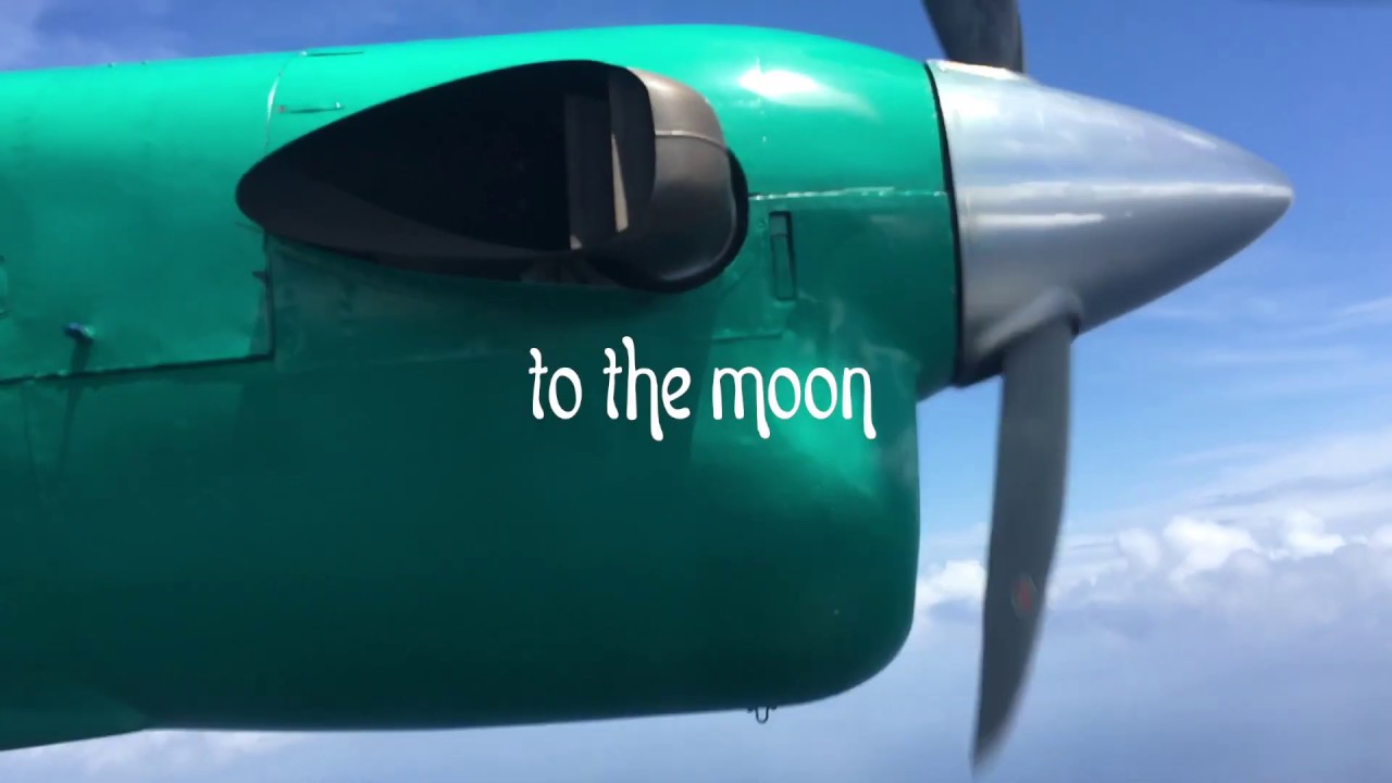 Walter Martin - To the Moon (lyric video)