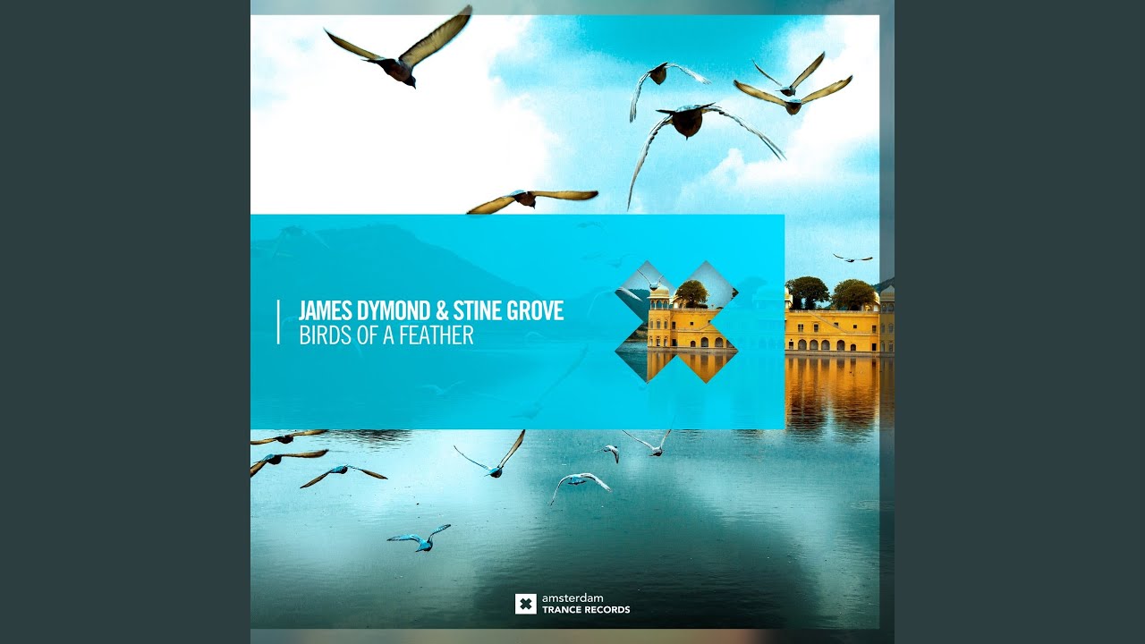 Birds of A Feather (Extended Mix)