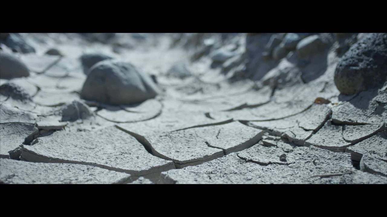 Water Scarcity | Who's Minding the Planet? | YSI