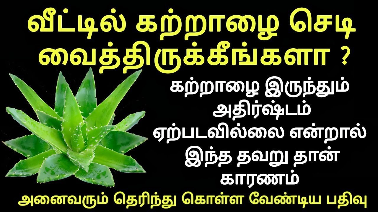 கற்றாழை செடியை வீட்டின் எந்த திசையில் வைக்க வேண்டும் | Aloe vera benefits in tamil