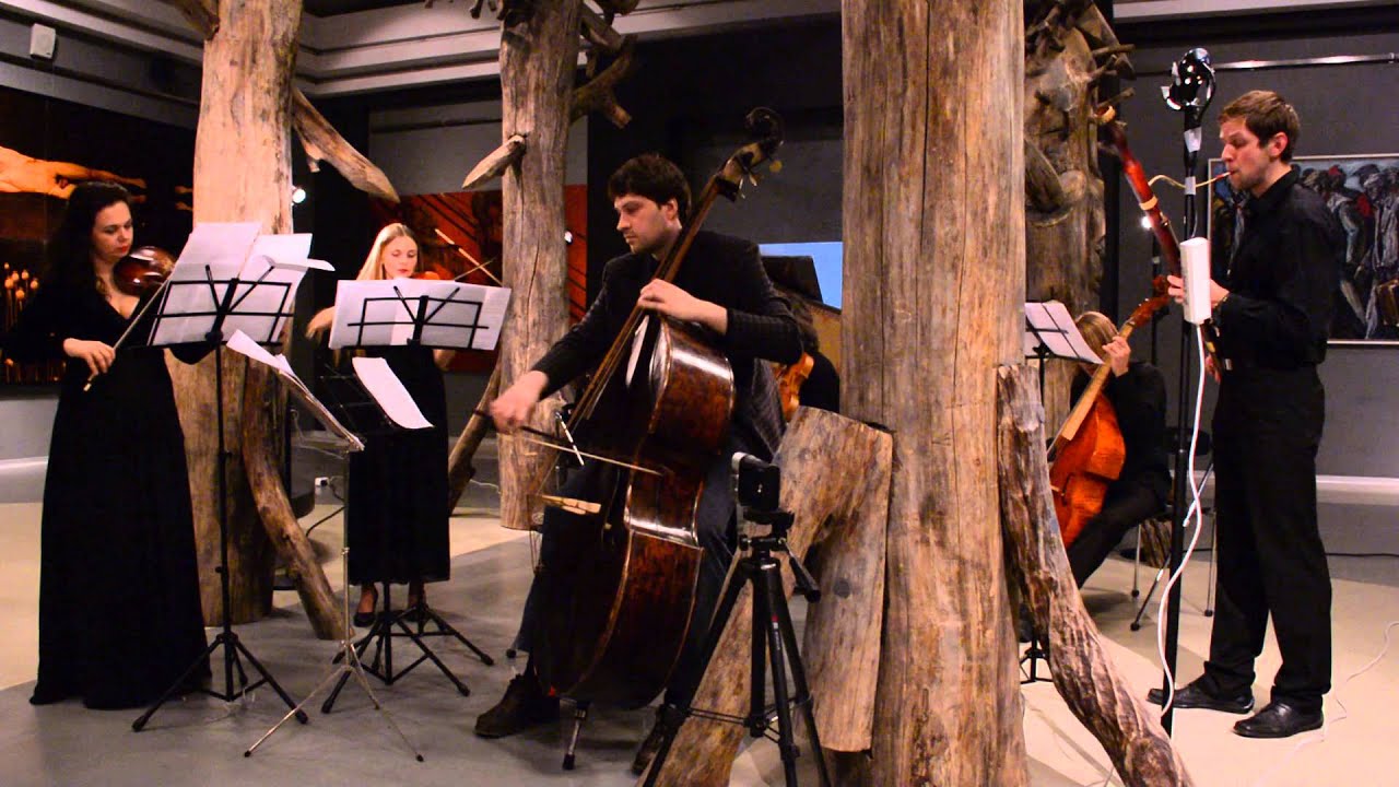 2016-03-06 Венский бас и ансамбль Barocco Concertato  в Эрарте 3