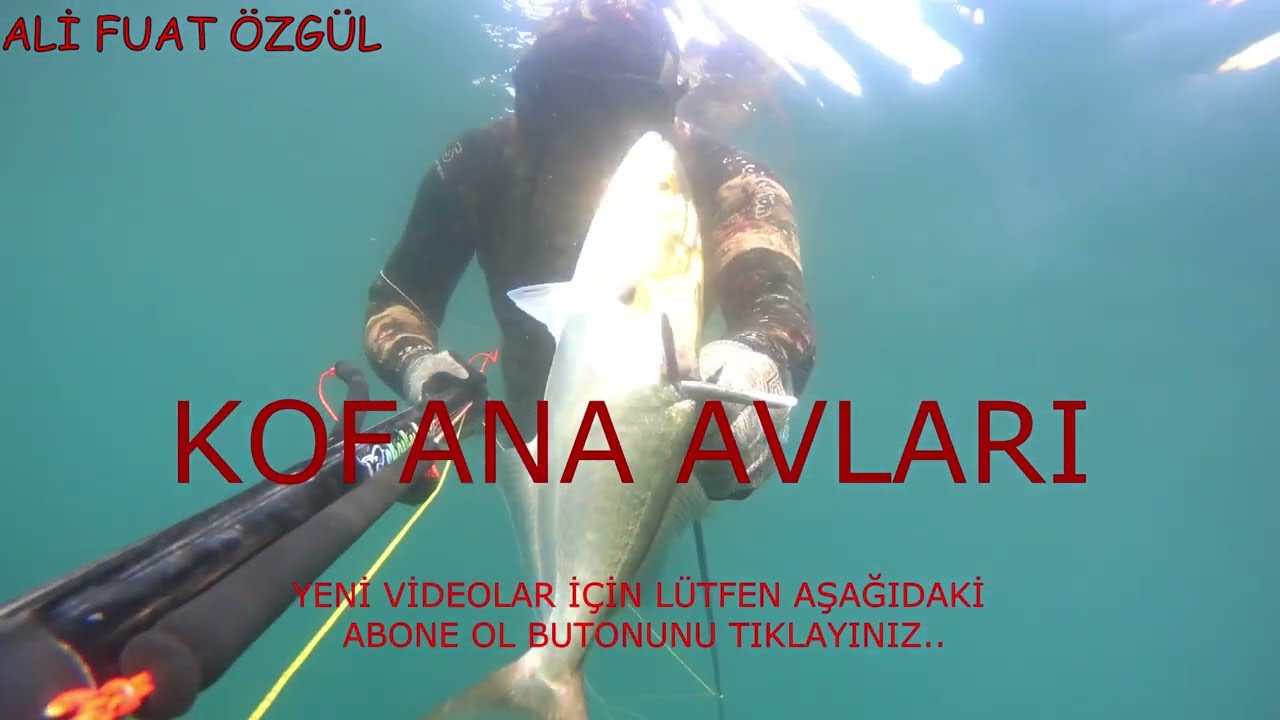 ZIPKINLA KOFANA LÜFER AVLARI, PESCESUB SERRA SUB, SPEARFİSHİNGBLUEFİSH