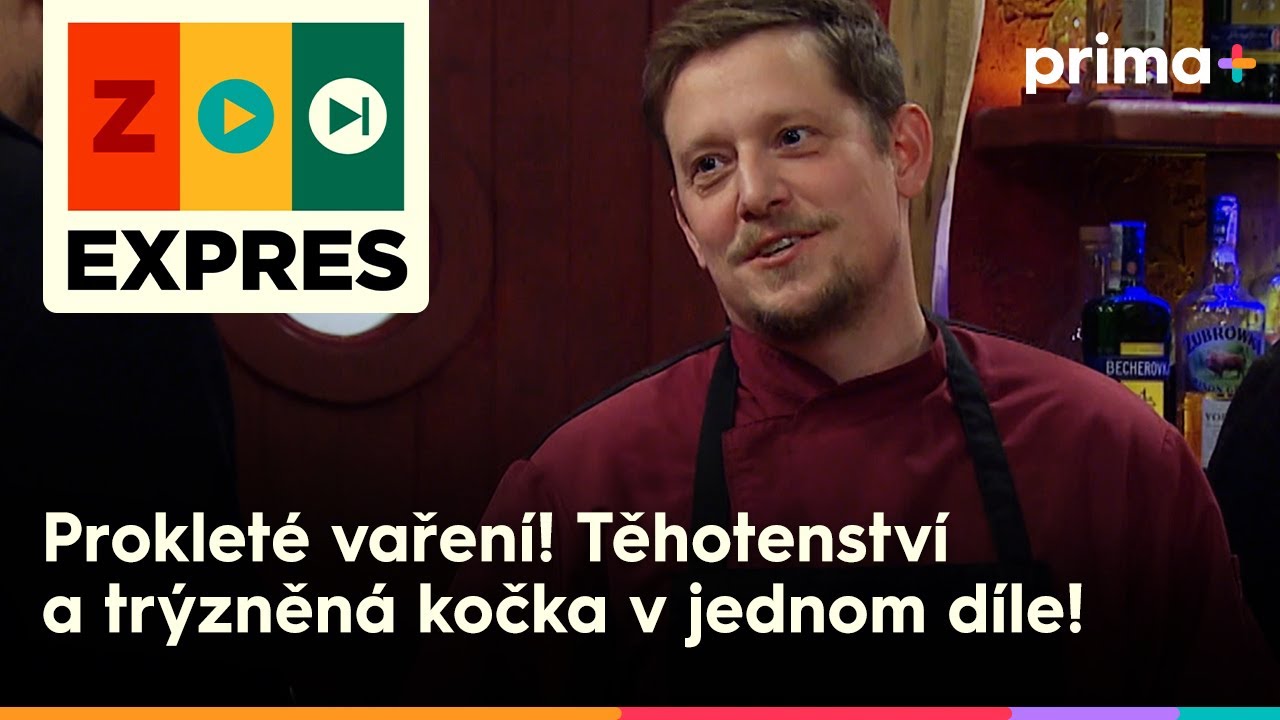 🦒ZOO EXPRES (52): Prokleté vaření! Těhotenství a trýzněná kočka v jednom díle!